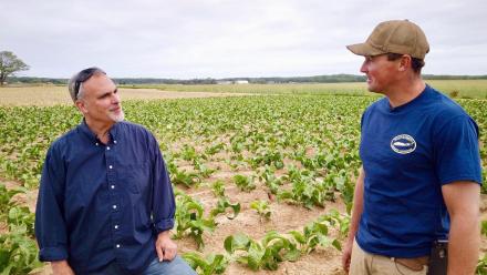 Roots & Traditions: asset-mezzanine-16x9