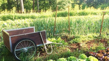 Sonoma Valley Worm Farm: Where Are They Now?: asset-mezzanine-16x9