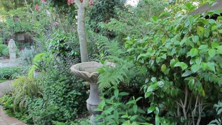 Small-Space Gardening: asset-mezzanine-16x9