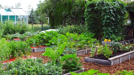 In Susan’s Garden: asset-mezzanine-16x9