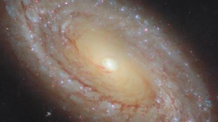 American Artist Reimagines Rocket Science via Octavia Butler: asset-mezzanine-16x9