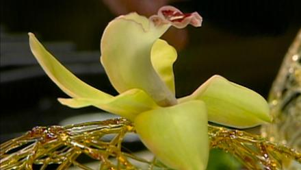 Dessert Essentials II: asset-mezzanine-16x9