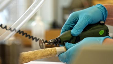 The Ultimate Warrior Sports Drink: asset-mezzanine-16x9