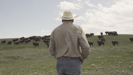 Bring Them Home Trailer: asset-mezzanine-16x9