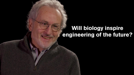 Donald E. Ingber: asset-mezzanine-16x9