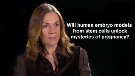 Dr. Magdalena Zernicka-Goetz: asset-mezzanine-16x9