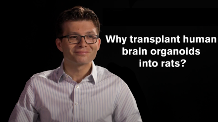 Dr. Sergiu Pasca: asset-mezzanine-16x9