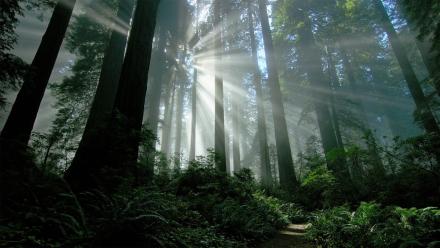 Trailer: asset-mezzanine-16x9