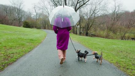 Breakthrough Women in Science & Medicine: Dr. Fatima Cody Stanford: asset-mezzanine-16x9