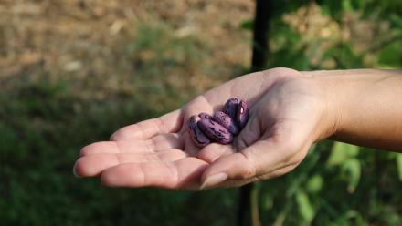 Trailer: asset-mezzanine-16x9