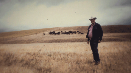 Mouse and the Buffalo: asset-mezzanine-16x9