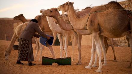 Stopping the Desert: asset-mezzanine-16x9