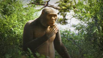 Do Chins Make Us Human?: asset-mezzanine-16x9