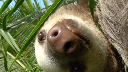 Two or Three in a Tree: asset-mezzanine-16x9