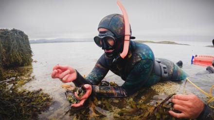 Helgelandskysten: Archipelago Adventures: asset-mezzanine-16x9