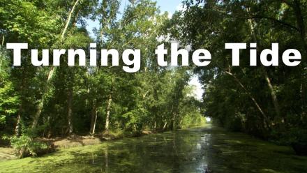 Turning the Tide: asset-mezzanine-16x9