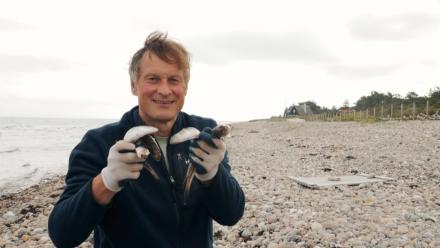 Part 1: Architects & Builders: asset-mezzanine-16x9