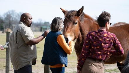 Veteran Grown: asset-mezzanine-16x9