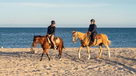 The Long Road: asset-mezzanine-16x9