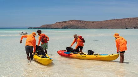 A Daughter in Distress: asset-mezzanine-16x9