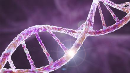 Why Is All DNA Right Handed?: asset-mezzanine-16x9