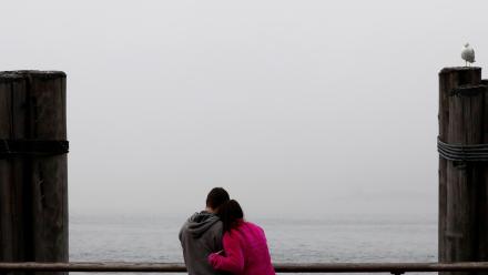 What the ‘bird theory’ test may reveal about relationships: asset-mezzanine-16x9