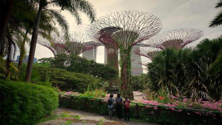 A City in Nature | WILD HOPE: asset-mezzanine-16x9