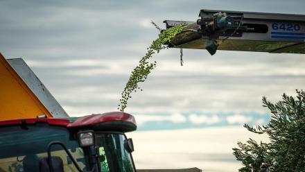 1806: asset-mezzanine-16x9