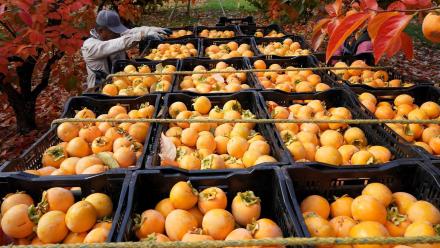 1805: asset-mezzanine-16x9