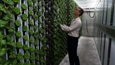 1804: asset-mezzanine-16x9