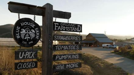 1803: asset-mezzanine-16x9