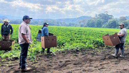 1802: asset-mezzanine-16x9