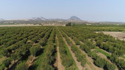 1801: asset-mezzanine-16x9