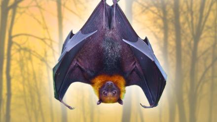 The Deep Halloween Lore You Probably Don’t Know: asset-mezzanine-16x9