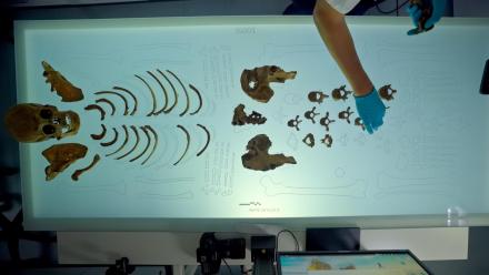 What the First Gladiator Bones Can Tell Us About How They Lived: asset-mezzanine-16x9