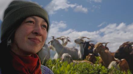 The Key to Restoring the Prairies Has Four Legs: asset-mezzanine-16x9