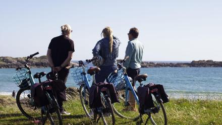 Flavors of the Fjord: asset-mezzanine-16x9