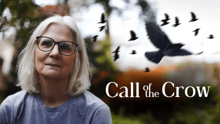 Call of the Crow: asset-mezzanine-16x9