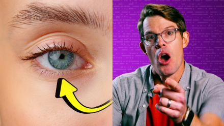 (Almost) Everything You Learned About Genetics Is Wrong: asset-mezzanine-16x9