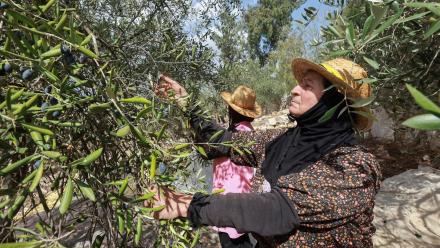 Lebanese farmers say ceasefire fails to ensure safety: asset-mezzanine-16x9