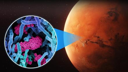Why Life on Mars Will Doom Humanity: asset-mezzanine-16x9
