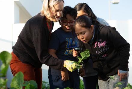 Elementary students examine leaf with teacher