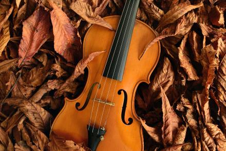 Fall violin