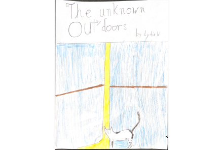 The Unknown Outdoors cover