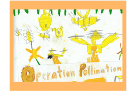 Operation Pollination cover