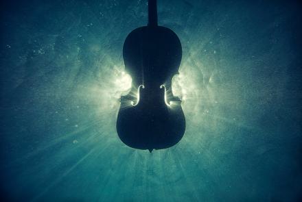 Silhouette of stringed instrument against blue background which looks like water.