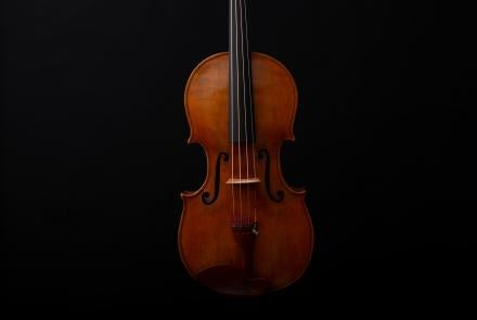 violin