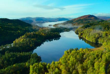 The Creation of 'Trees for Life' to Rewild Scotland: asset-mezzanine-16x9