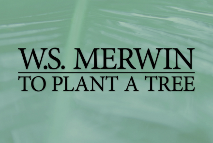 W.S. Merwin: To Plant a Tree Preview: asset-mezzanine-16x9