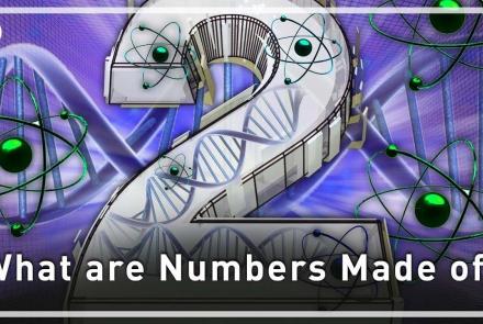 What are Numbers Made of?: asset-mezzanine-16x9
